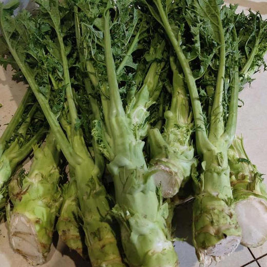 农家芥菜笋农户柏仙约5001000g份