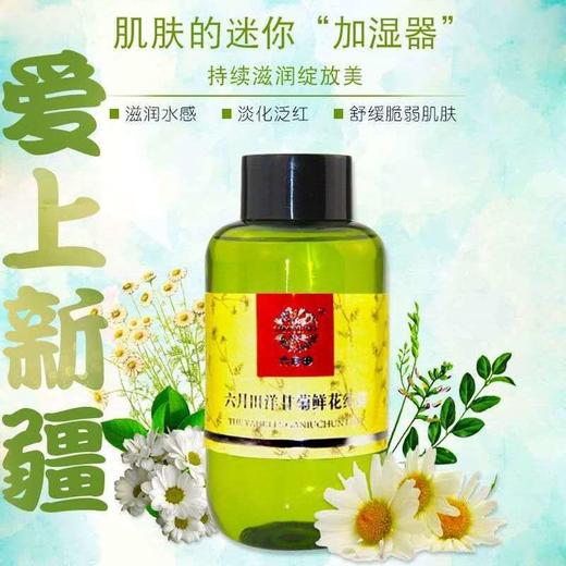 新疆伊犁洋甘菊纯300ml 商品图0
