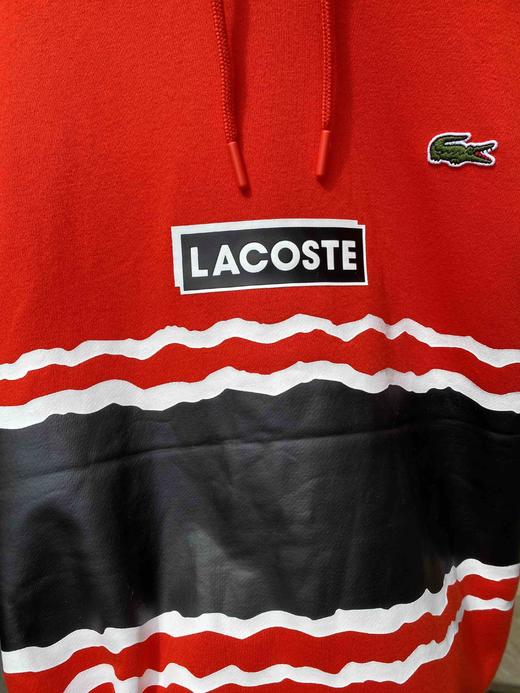 法国鳄鱼2020春秋款连帽休闲卫衣 商品图9