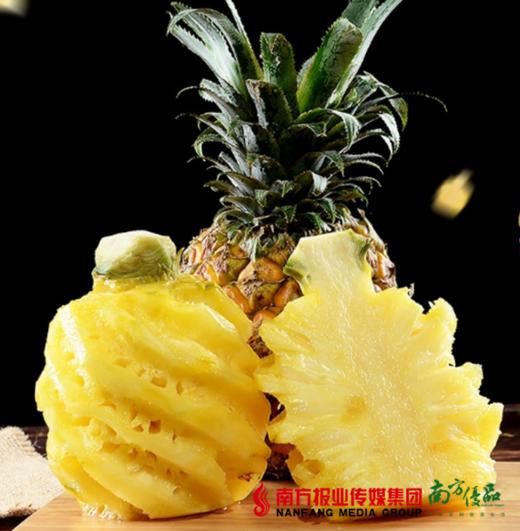 【珠三角包邮】新鲜徐闻大菠萝 多汁香甜  2斤±2两/个  2个/份（5月5日到货） 商品图0