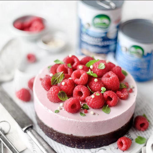 椰子搅打奶油 植物奶油 400ml/罐【周一三五发货】 商品图1