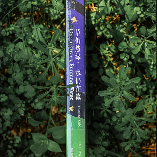 草仍然绿，水仍在流//守望者·文学 商品图4
