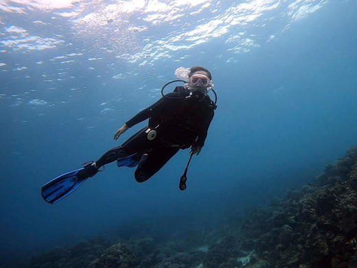 潜水度假 | 薄荷岛 PG岛潜水考证之旅 6天5晚 商品图3