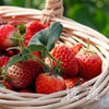 情圆有机草莓礼盒 商品缩略图2