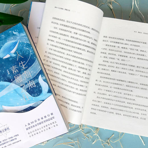 人生海海 素履之往 商品图3