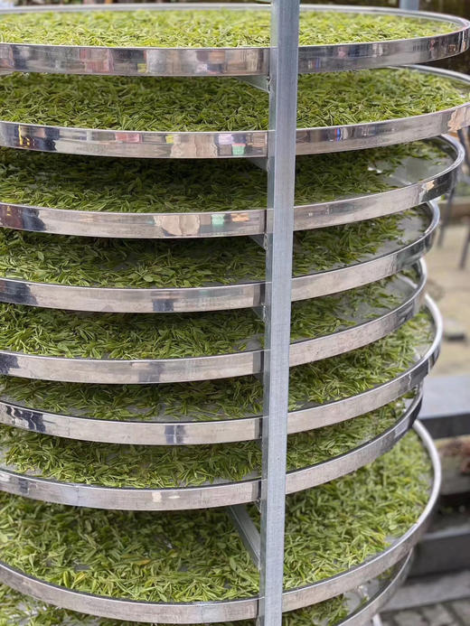 春茶来了｜2026梅家坞明前龙井 商品图3