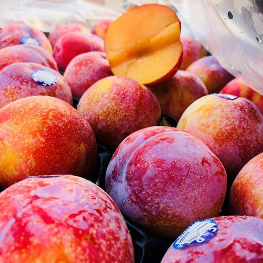 智利甜蜜太阳李恐龙蛋  1件28个 商品图2