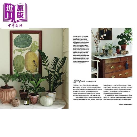 【中商原版】植物风格：灵感装饰与自然，植物和花香 花艺园艺与室内设计装饰 英文原版 Botanical Style 商品图2