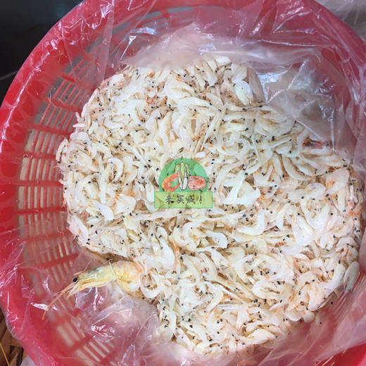 虾苗 商品图0