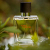 Hermes爱马仕Terre大地男士香水50ml/
100ml 商品缩略图2