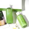 【现货】韩国innisfree悦诗风吟新款绿茶平衡水乳两件套四件套盒装补水保湿 商品缩略图1
