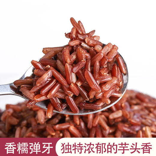 【海红香米】粤海田海红香米 喝海水长大 大米  健康美味 商品图5