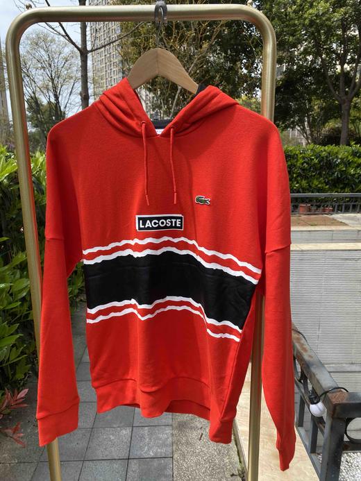 法国鳄鱼2020春秋款连帽休闲卫衣 商品图6