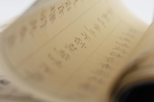 《印存玄览》（来燕榭珍本丛刊）高端复刻本 商品图4