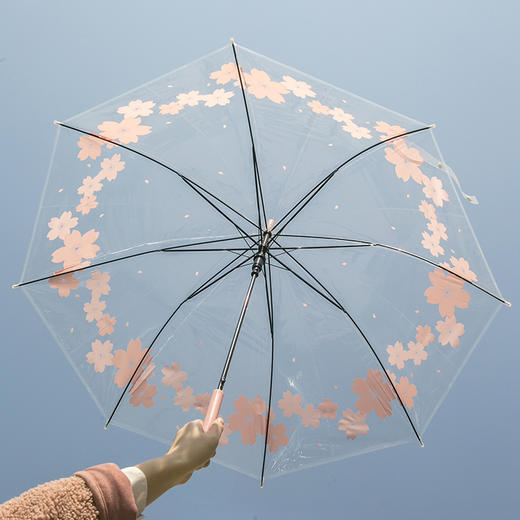 加固樱花雨伞创意学生用少女便携小清新可爱抗风伞日系透明长柄伞