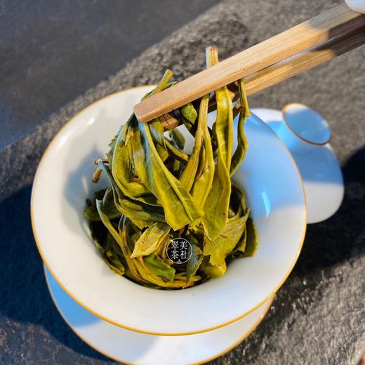 2021【翁达】明前头采春尖，不争鲜，只领鲜！！翠美2021年的初杯鲜香！ 商品图3