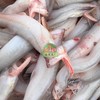 豆腐鱼 龙头鱼 商品缩略图0
