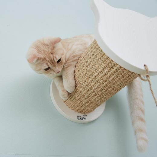 CatS猫家具猫墙系列之 墙上小猫脸跳柱 剑麻猫抓柱猫抓板 F6包邮 商品图2