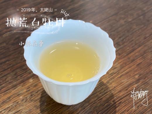 2019太姥山抛荒白牡丹《春山空》（100克罐装） 商品图8