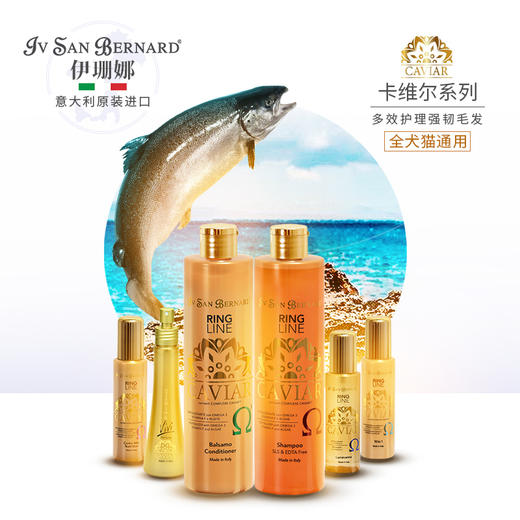 意大利伊珊娜isb卡维尔系列赛季专用活力香波/护毛素洗澡沐浴露护毛素 商品图1