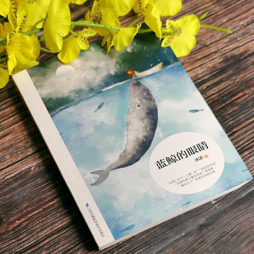 蓝鲸的眼睛 商品图1