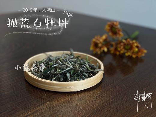 2019太姥山抛荒白牡丹《春山空》（100克罐装） 商品图2