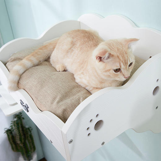 CatS猫家具猫墙系列之墙上猫床 实木生态板猫窝猫屋猫跳台 F3包邮 商品图2