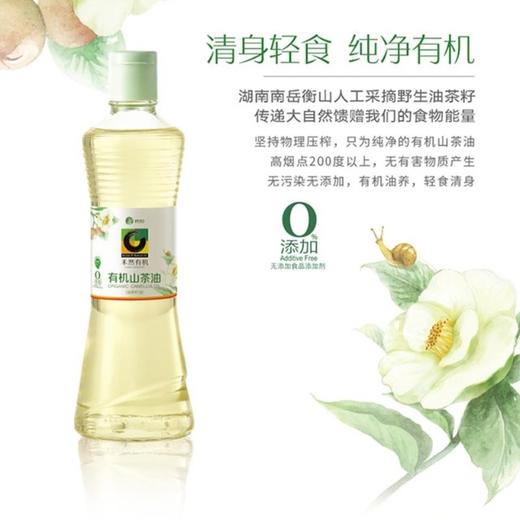 有机山茶油 | 野生采集 | 公平贸易 * Organic Camellia Oil | Fair Trade 商品图1
