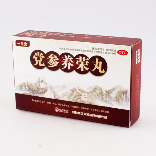 党参养荣丸 9克*10袋 商品图1