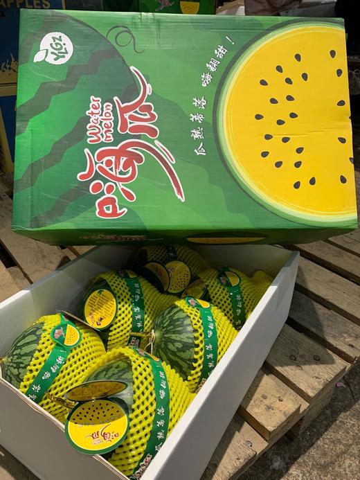 【嗨瓜·黄瓤西瓜】台湾供苗，20年种植经验，一滕一瓜栽培，不定时抽检糖度，保证99%嗨瓜质量 商品图4