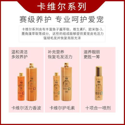 意大利伊珊娜isb卡维尔系列赛季专用活力香波/护毛素洗澡沐浴露护毛素 商品图3