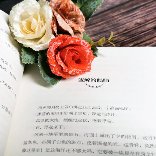 蓝鲸的眼睛 商品图2