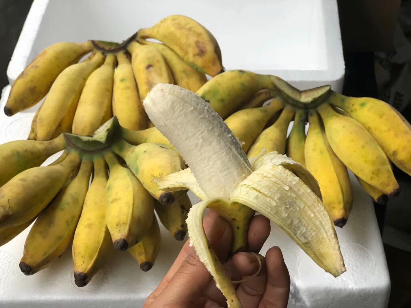 广西农家小米蕉约九斤装