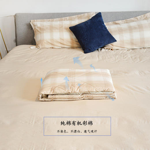 有机彩棉纯棉夏季薄被 透气舒适双人午睡空调被  规格可选 【低敏人群、品质生活人群】 包邮 商品图1