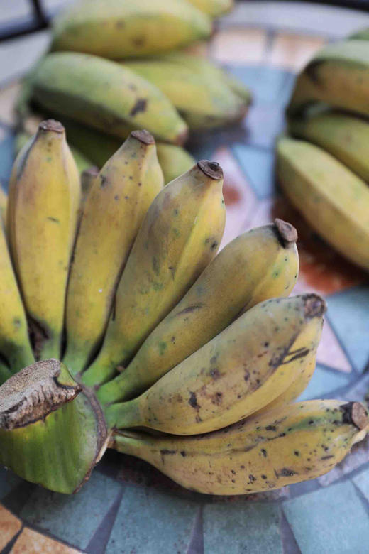 广西农家小米蕉约九斤装