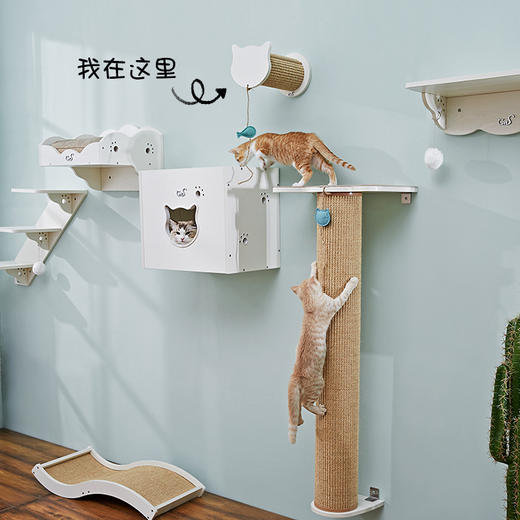 CatS猫家具猫墙系列之 墙上小猫脸跳柱 剑麻猫抓柱猫抓板 F6包邮 商品图3