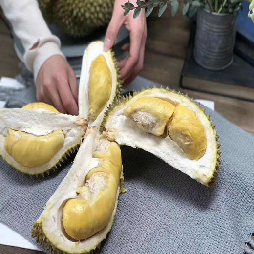 正宗托曼尼(泰国猫山王)榴莲 商品图5