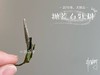 2019太姥山抛荒白牡丹《春山空》（100克罐装） 商品缩略图5