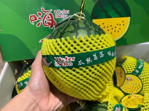 【嗨瓜·黄瓤西瓜】台湾供苗，20年种植经验，一滕一瓜栽培，不定时抽检糖度，保证99%嗨瓜质量 商品图5