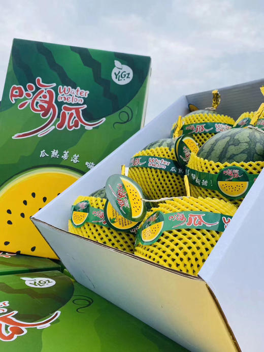 【嗨瓜·黄瓤西瓜】台湾供苗，20年种植经验，一滕一瓜栽培，不定时抽检糖度，保证99%嗨瓜质量 商品图3