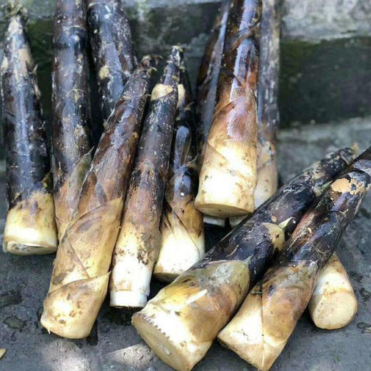 ★临安纯雷竹笋5斤装 商品图3