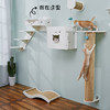 CatS猫家具猫墙系列之墙上猫床 实木生态板猫窝猫屋猫跳台 F3包邮 商品缩略图3