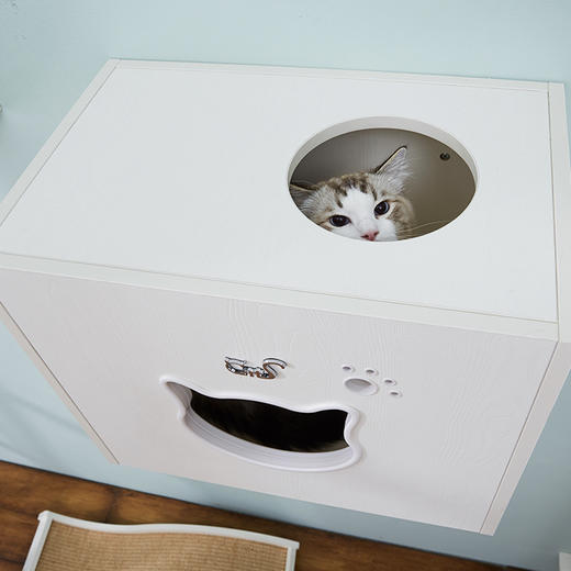 CatS猫家具猫墙系列之墙上猫盒 木制夏季猫窝猫屋猫咪用品 F2包邮 商品图2