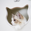 CatS猫家具猫墙系列之墙上猫盒 木制夏季猫窝猫屋猫咪用品 F2包邮 商品缩略图3