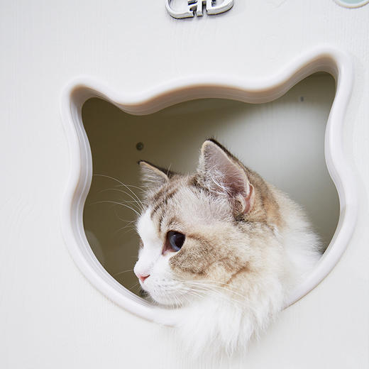 CatS猫家具猫墙系列之墙上猫盒 木制夏季猫窝猫屋猫咪用品 F2包邮 商品图3