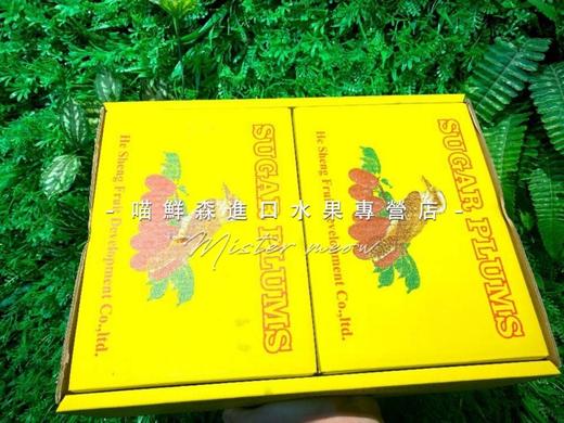 📦澳洲减肥李（超甜）6斤装 商品图11