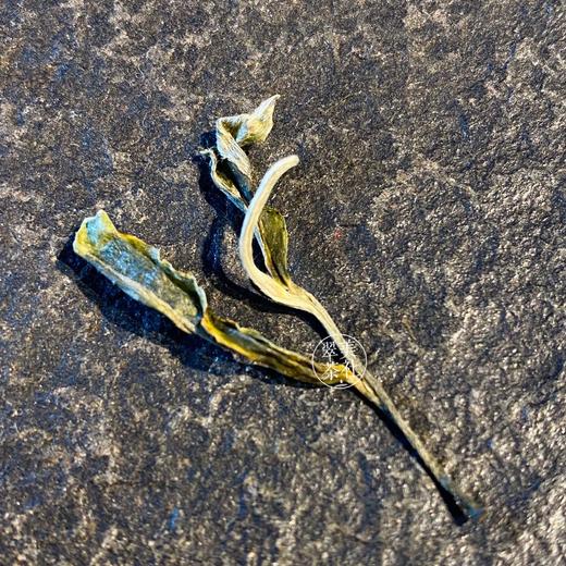 2021【翁达】明前头采春尖，不争鲜，只领鲜！！翠美2021年的初杯鲜香！ 商品图5