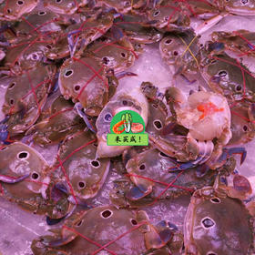 三目蟹 （有蟹膏）