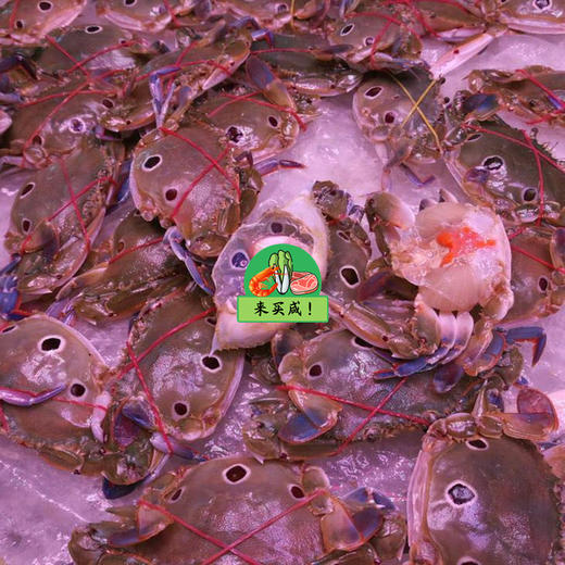 三目蟹 （有蟹膏） 商品图0