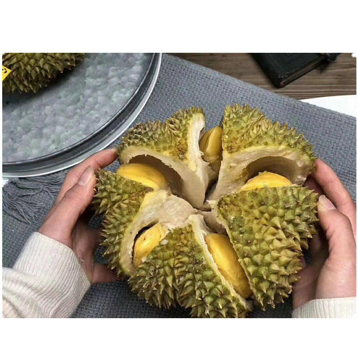 正宗托曼尼(泰国猫山王)榴莲 商品图4
